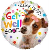 Get well dog