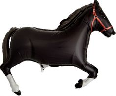 Paard zwart